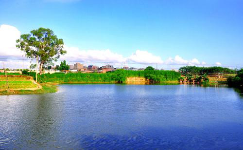 泡沫不可怕，可怕的是你不識(shí)清洗污水消泡劑