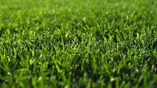 對于品質(zhì)的執(zhí)著連聚乙烯醇消泡劑都有，那你呢？