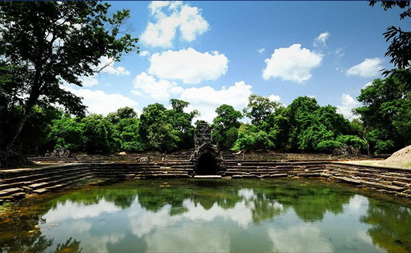 生物水處理消泡劑YYDS