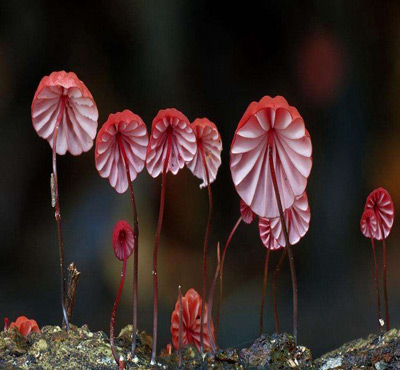 生化水處理消泡劑閃亮登場