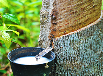 天然乳膠消泡劑—提升工藝流程的不可或缺之物